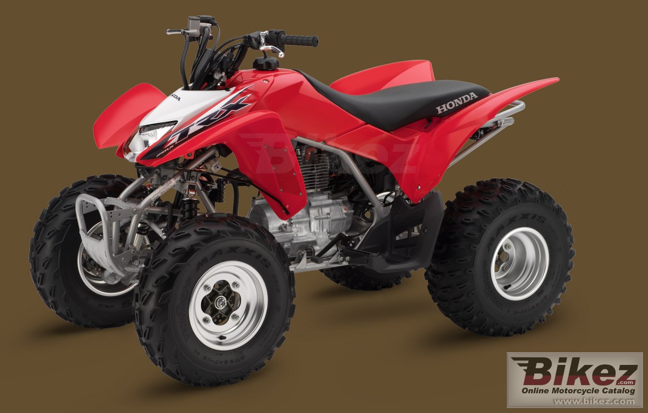 Big Honda trx250x picture and wallpaper from Bikez.com